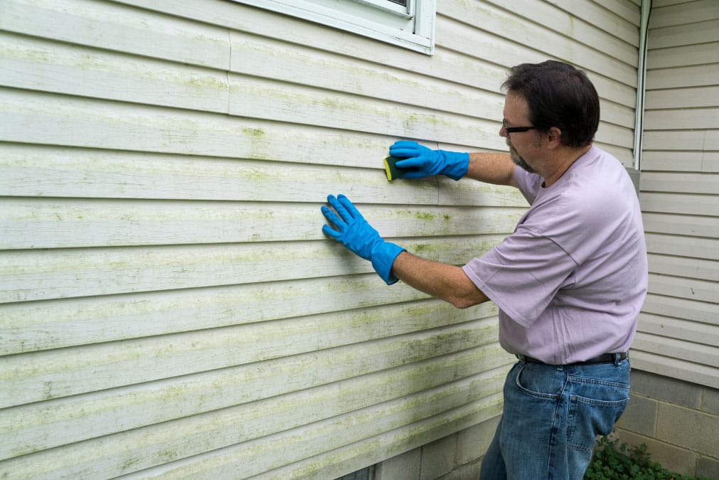 Homeowner cleaning mildew from exterior siding before painting